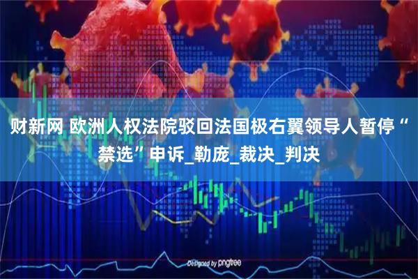 财新网 欧洲人权法院驳回法国极右翼领导人暂停“禁选”申诉_勒庞_裁决_判决