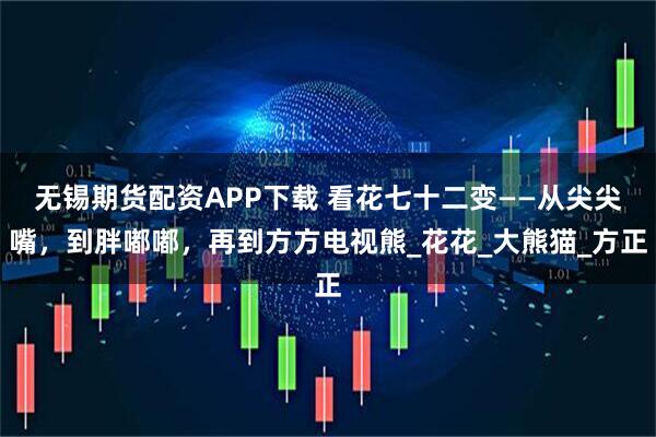 无锡期货配资APP下载 看花七十二变——从尖尖嘴，到胖嘟嘟，再到方方电视熊_花花_大熊猫_方正