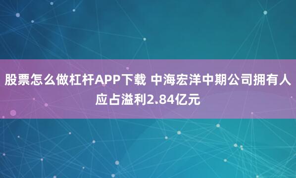 股票怎么做杠杆APP下载 中海宏洋中期公司拥有人应占溢利2.84亿元