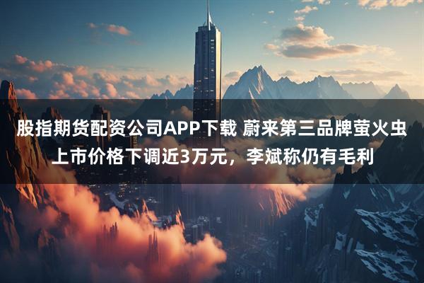 股指期货配资公司APP下载 蔚来第三品牌萤火虫上市价格下调近3万元，李斌称仍有毛利